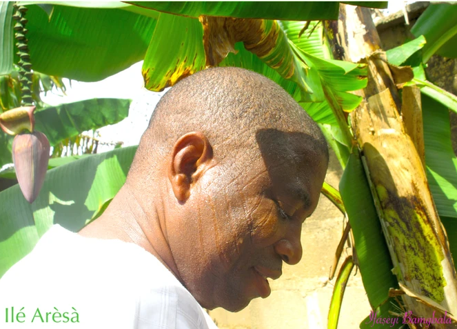 Olúwo Chief Arẹ̀sà